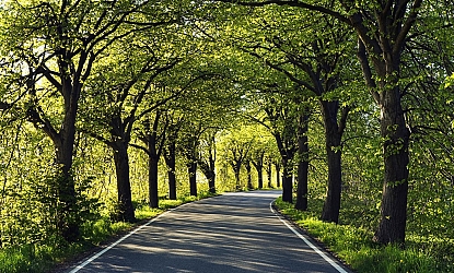 Face to face with nature...