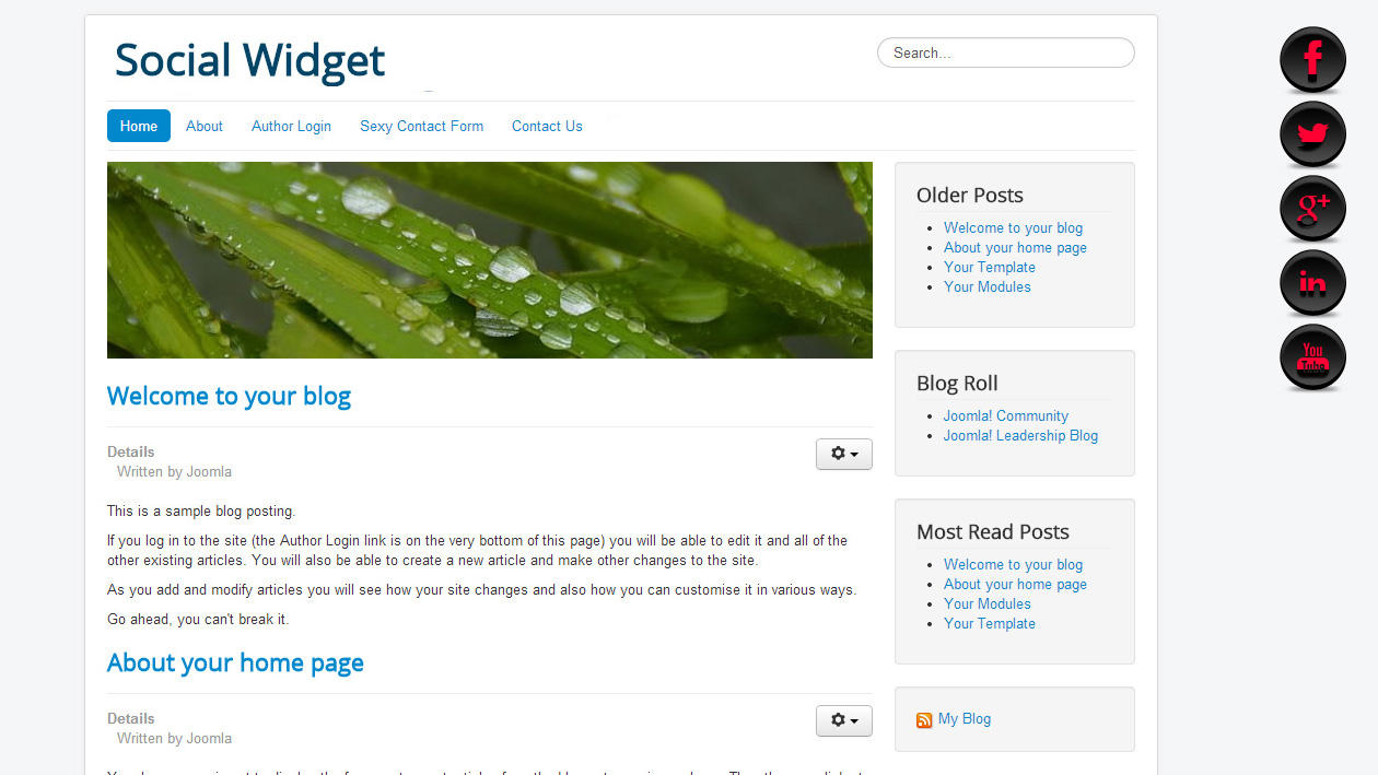 Template 3 demo Template 3 demo